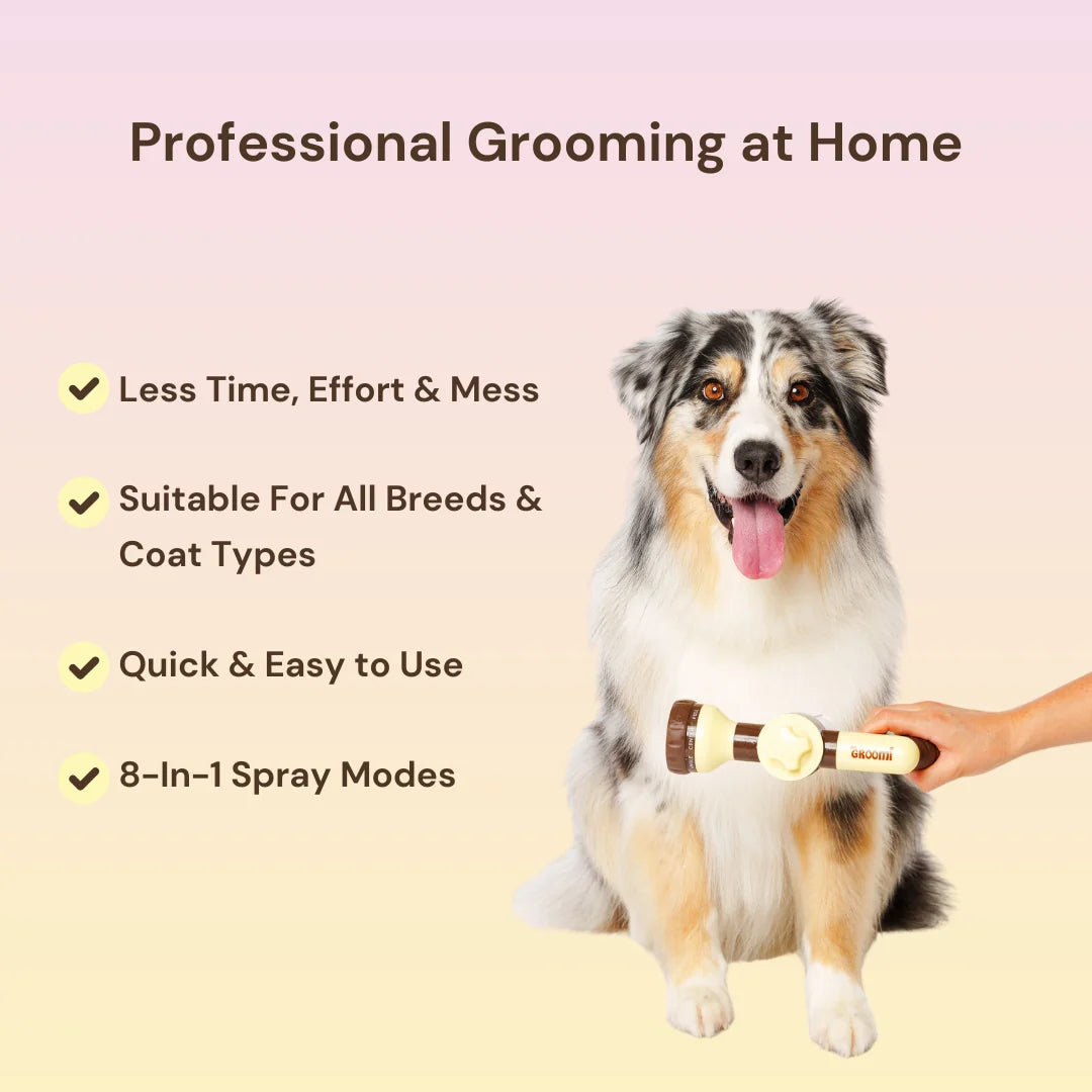 Hydro Paw Dog Wash Hose Attachment – Fast & Easy Pet Bathing Kit